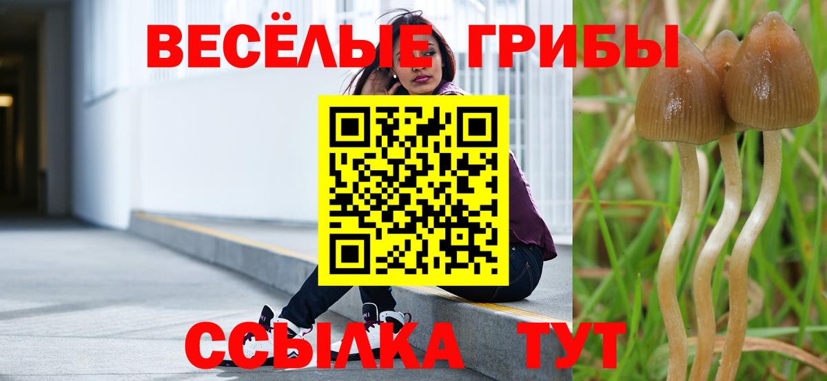 Галлюциногенные грибы MAGIC MUSHROOMS Менделеевск